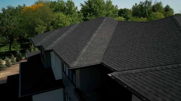 Best Asphalt Shingles Roofing  in Malta, IL